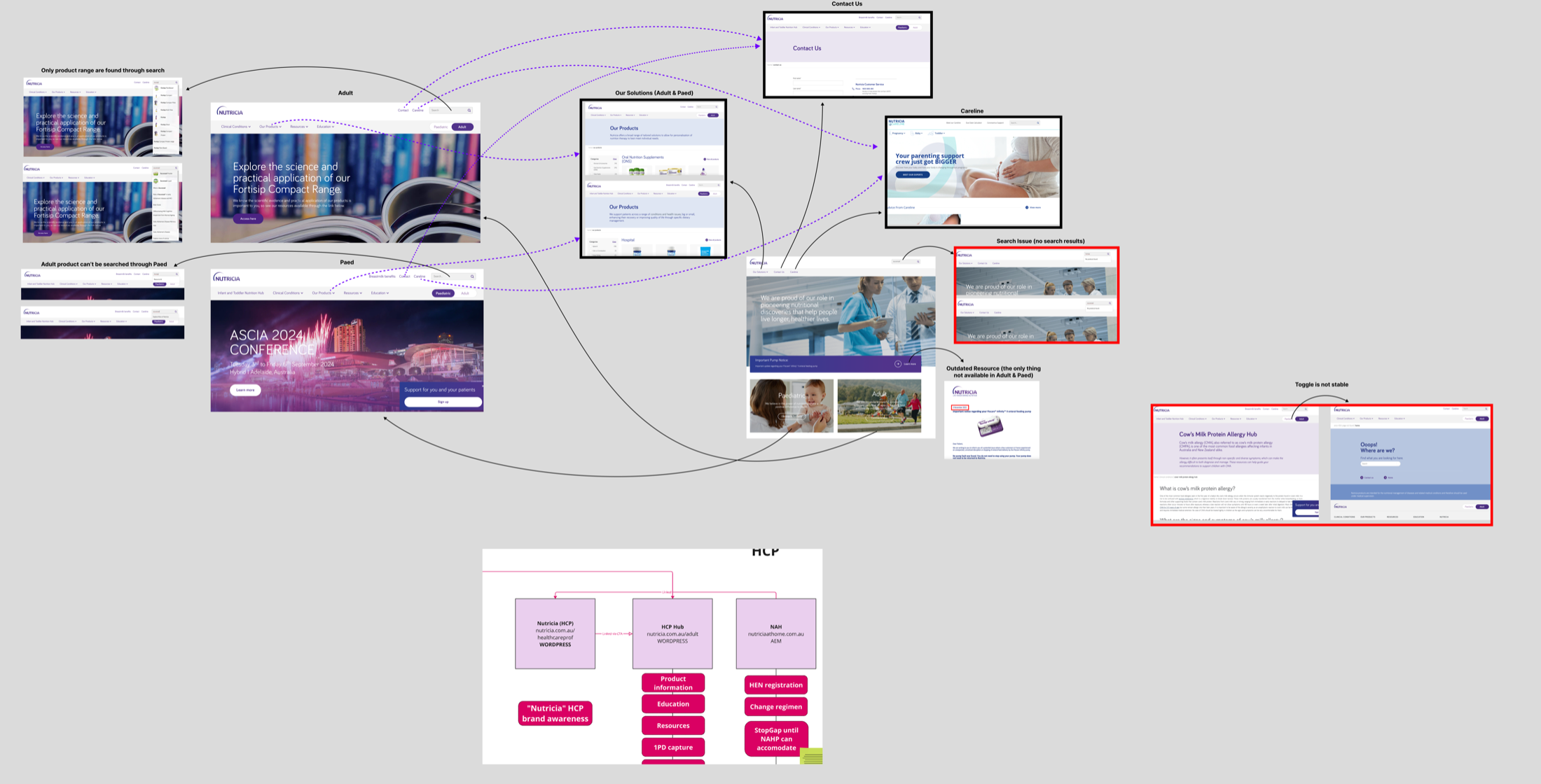 Audit of current Nutricia adult ecosystem, showing disconnected touchpoints across HCP hub, brand sites, and main site